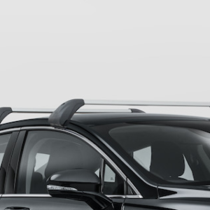 Osnovni strešni prtljažnik